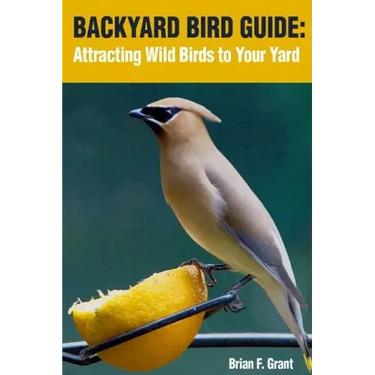 Backyard Bird Guide: Attracting Wild Birds to Your Yard