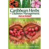 Caribbean Herbs for Diabetes Management: Fact or Fiction?