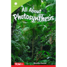 All about Photosynthesis