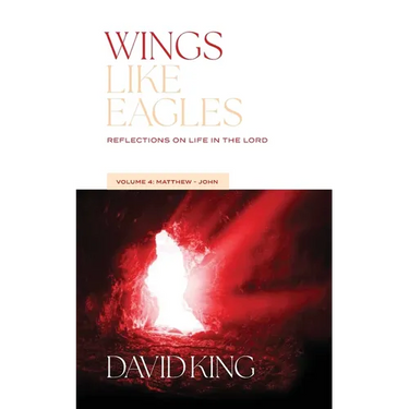 Wings Like Eagles: Reflections on Life in the Lord Vol. 4: Matthew-John