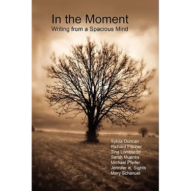 In the Moment - Writing from a Spacious Mind