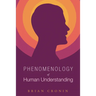 Phenomenology of Human Understanding