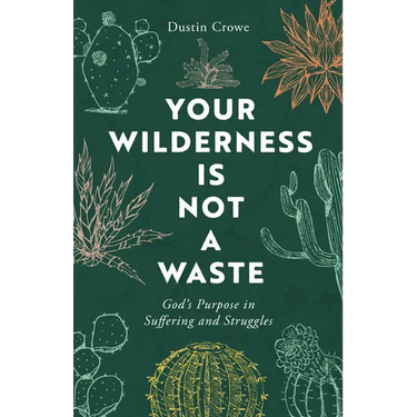 Your Wilderness Is Not a Waste: God's Purpose in Suffering and Struggles
