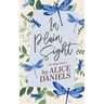 In Plain Sight: A Small Town Romance