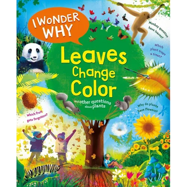I Wonder Why Leaves Change Color