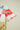 ed14d8d3-f40f-4d8e-ad00-d4f509f77b66-Max
