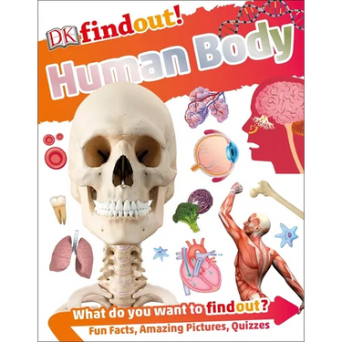 Dkfindout! Human Body