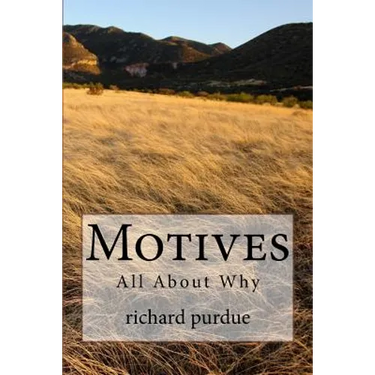 Motives: All about Why