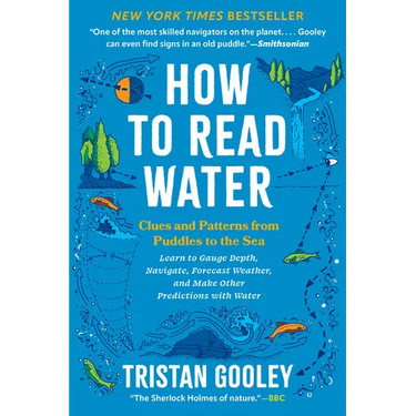 How to Read Water: Clues and Patterns from Puddles to the Sea