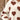 eebb235f-3c9a-402d-825d-3dcafb59e2f0-Max
