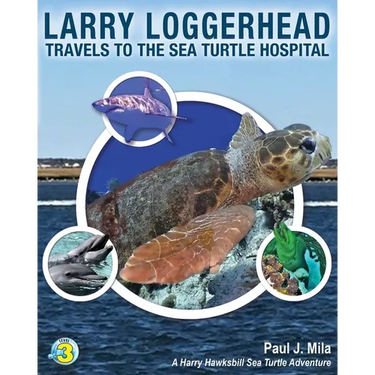 Larry Loggerhead Travels to the Sea Turtle Hospital