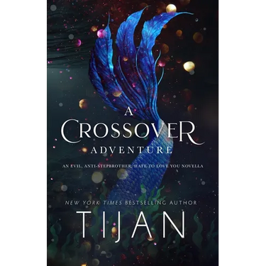 A Crossover Adventure: An Evil, Anti-Stepbrother, Hate to Love You Novella