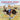Jackrabbit Jewel and the Longhorn Cattle Drive