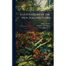 Illustrations of the New Zealand Flora