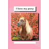 I Love My Pony: Write and Draw About Your Pony