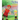 The Boy with the Rainbow Heart and the Invasion of Big Angry Red