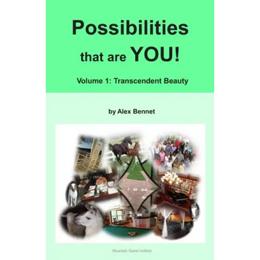 Possibilities that are YOU!: Volume 1: Transcendent Beauty