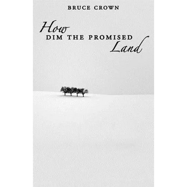 How Dim the Promised Land