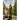 Origins: The Snook Saga: Book One