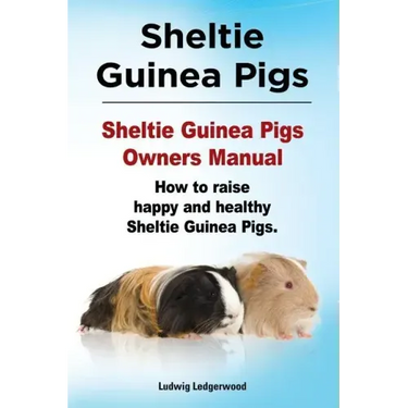Sheltie Guinea Pigs. Sheltie Guinea Pigs Owners Manual. How to raise happy and healthy Sheltie Guinea Pigs.