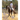 A Step-by-Step Guide to Entering Your First Dressage Competition