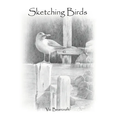 Sketching Birds