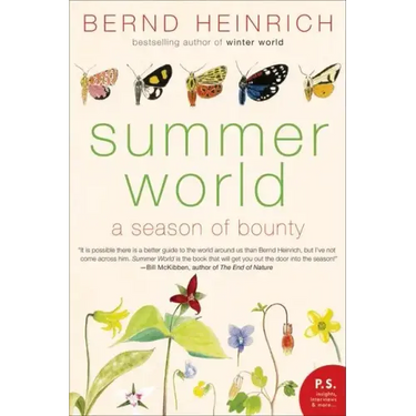 Summer World