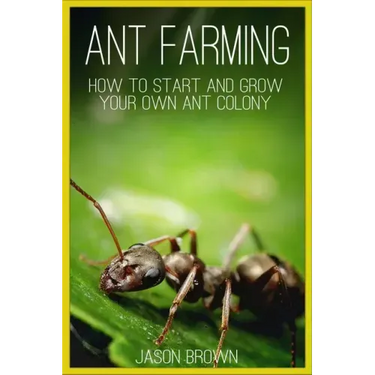 Ant Farming: How to Start and Grow Your Own Ant Colony