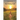 The Wishing Field