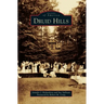 Druid Hills