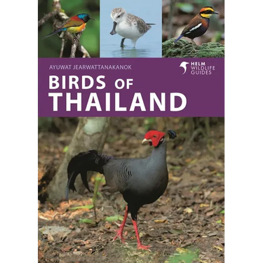 Birds of Thailand