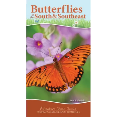 Butterflies of the South & Southeast: Your Way to Easily Identify Butterflies