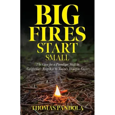 Big Fires Start Small: The Case for a Paradigm Shift in California's Response to Today's Wildfire Crisis