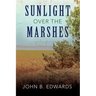 Sunlight Over the Marshes