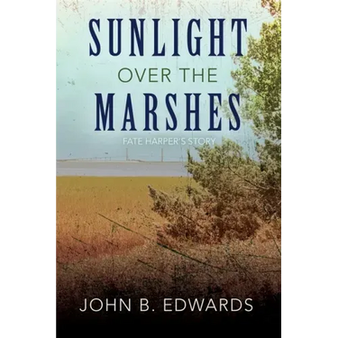 Sunlight Over the Marshes
