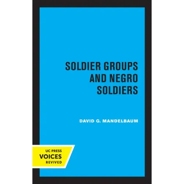 Soldier Groups and Negro Soldiers