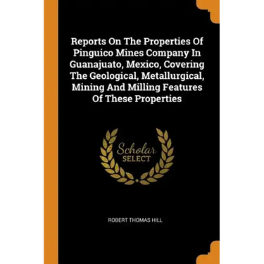 Reports on the Properties of Pinguico Mines Company in Guanajuato, Mexico, Covering the Geological, Metallurgical, Mining and Milling Features of Thes