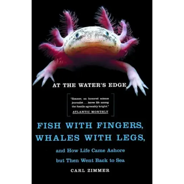 At the Water's Edge: Fish with Fingers, Whales with Legs, and How Life Came Ashore But Then Went Back to Sea