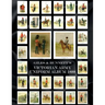 Giles & Bunnett's Victorian Army Uniform Album 1888