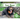 Sun Bear