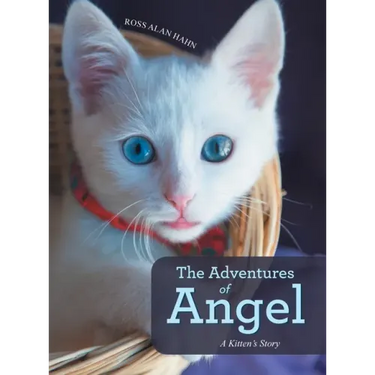 The Adventures of Angel: A Kitten's Story