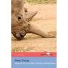 Elegy for the Last Male Northern White Rhino: (The Hollyridge Press Chapbook Series)
