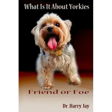 What Is It About Yorkies: Friend or Foe