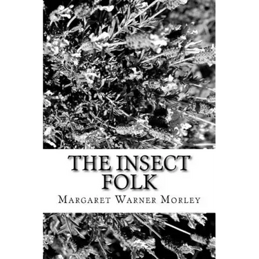 The Insect Folk