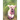 The Pink Poodle