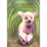 The Pink Poodle