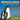 Penguins Like Warm Climates Too! Animal Books for Kids 9-12 Children's Animal Books