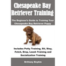 Chesapeake Bay Retriever Training: The Beginner's Guide to Training Your Chesapeake Bay Retriever Puppy: Includes Potty Training, Sit, Stay, Fetch, Dr