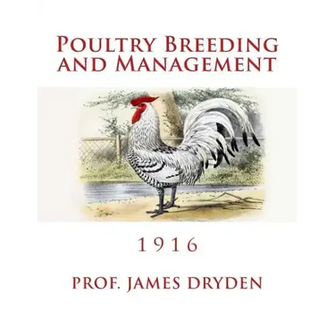 Poultry Breeding and Management: 1916