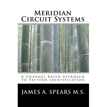 Meridian Circuit Systems: A Channel Based Approach to Pattern Identification